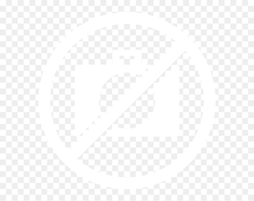 B2s Logo, HD Png Download - bald cypress png