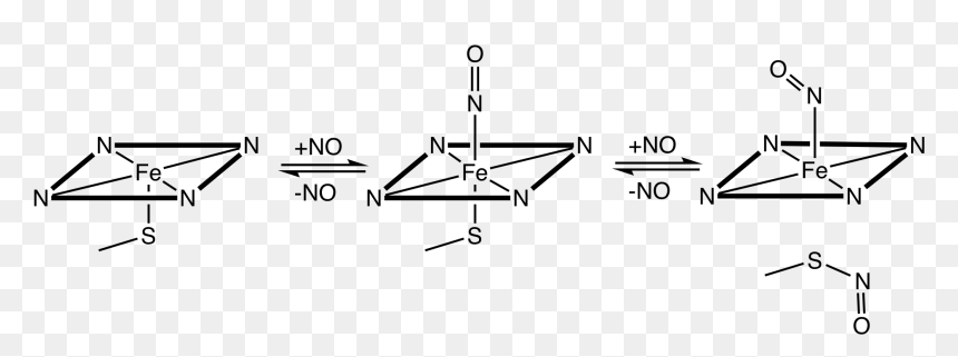 Fe No Porph - Nitrosylbis Diethyldithiocarbamato Iron, HD Png Download - fe png