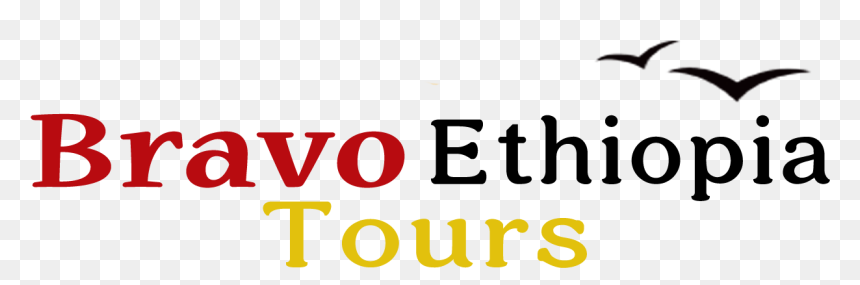 Bravo Ethiopia Tours, HD Png Download - bravo png