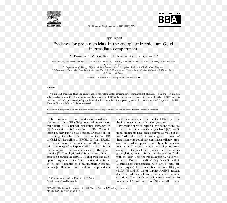Document, HD Png Download - endoplasmic reticulum png