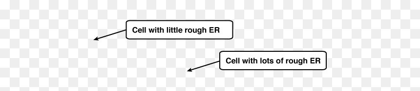 Slope, HD Png Download - endoplasmic reticulum png