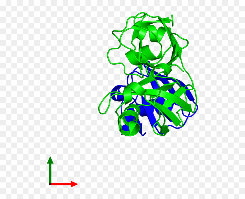 <div Class="caption-body - Graphic Design, HD Png Download - endoplasmic reticulum png