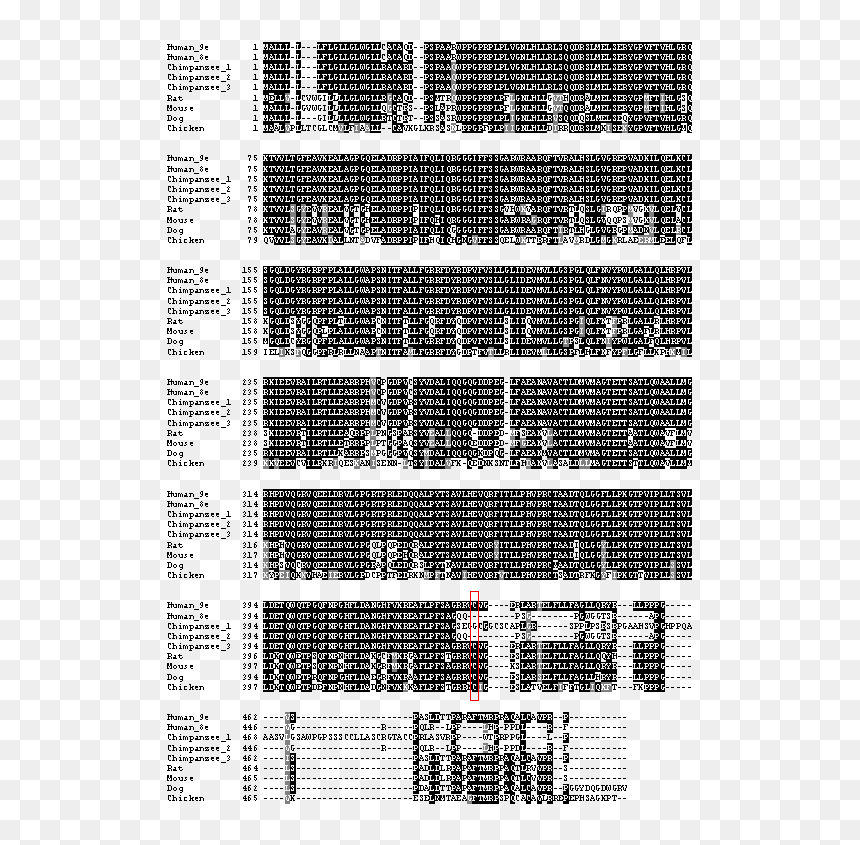 Monochrome, HD Png Download - endoplasmic reticulum png