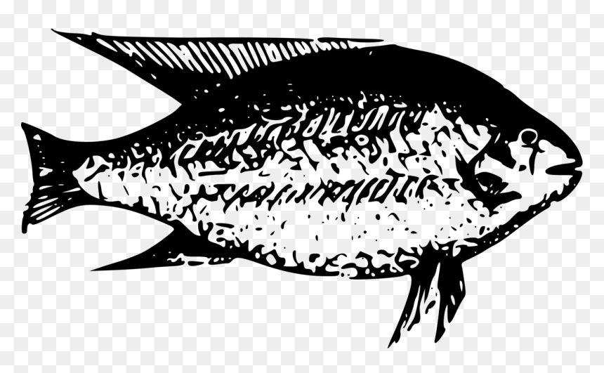 Art,monochrome Photography,seafood - Clip Art Animal On The Lake Black, HD Png Download - fresh fish png