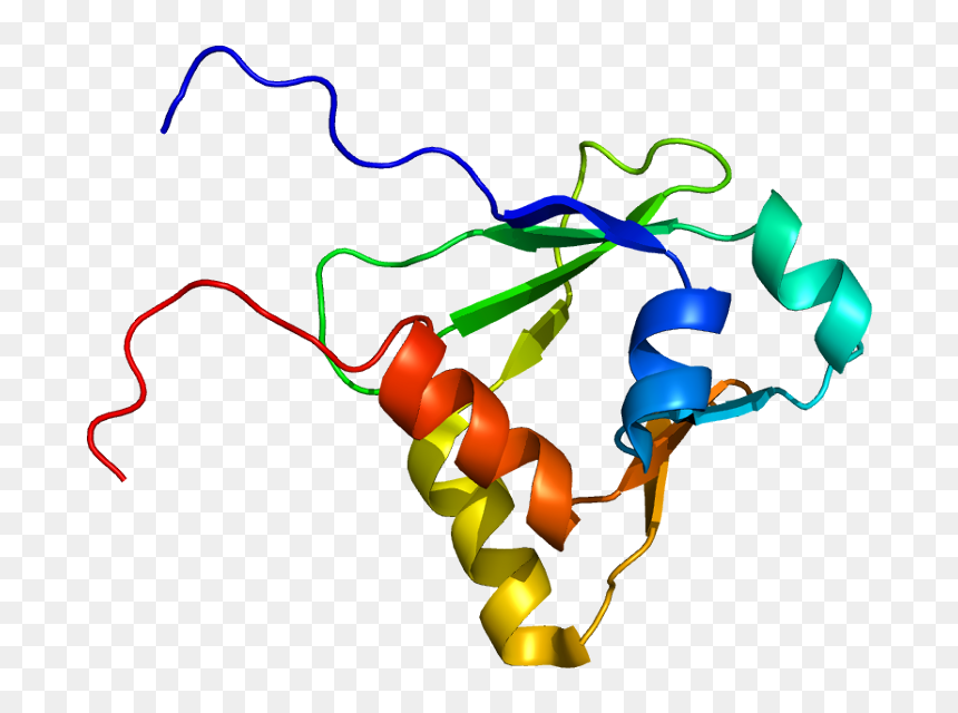 Protein Iqgap1 Pdb 1x0h, HD Png Download - gap png