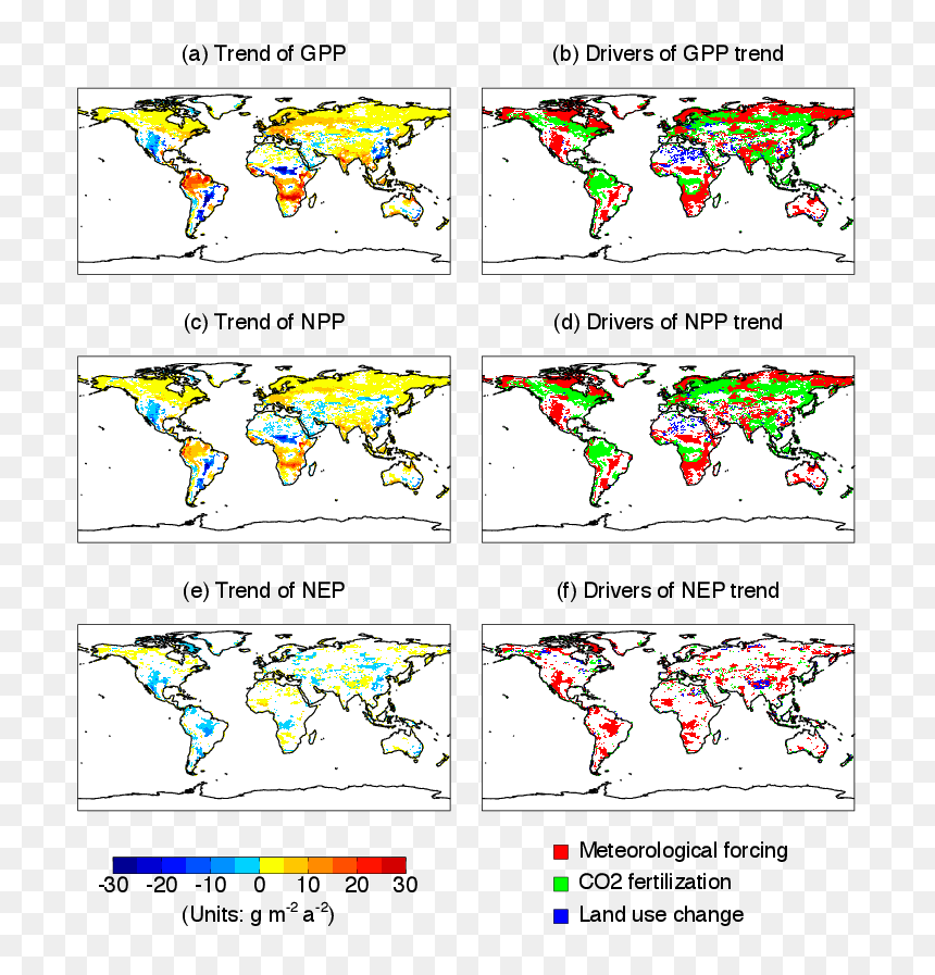 Primary Productivity Npp Units, HD Png Download - productivity png