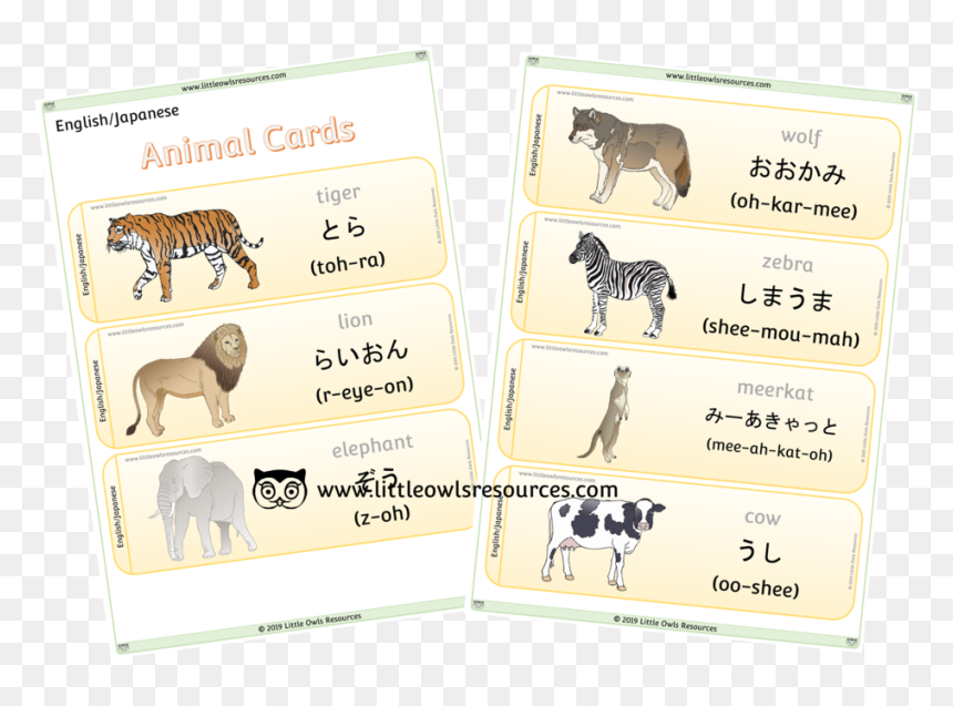 Animal Cards Cover - English Language, HD Png Download - japanese words png