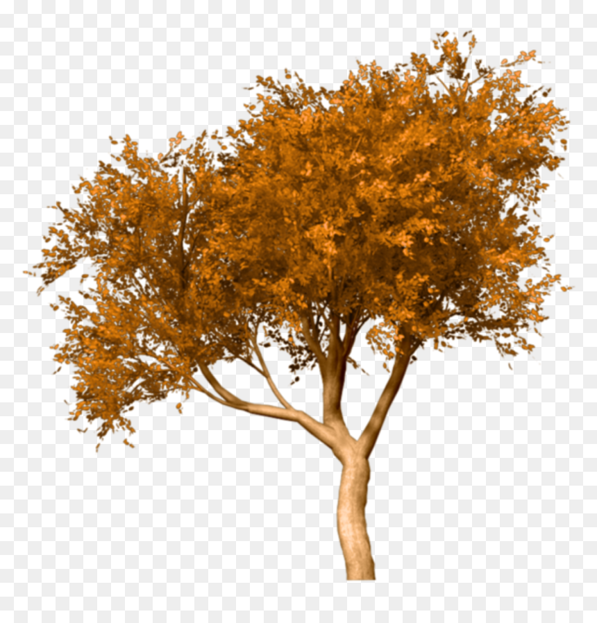 Portable Network Graphics Fall Tree Clip Art Image - Tree With Swing Png, Transparent Png - tumblr fall png