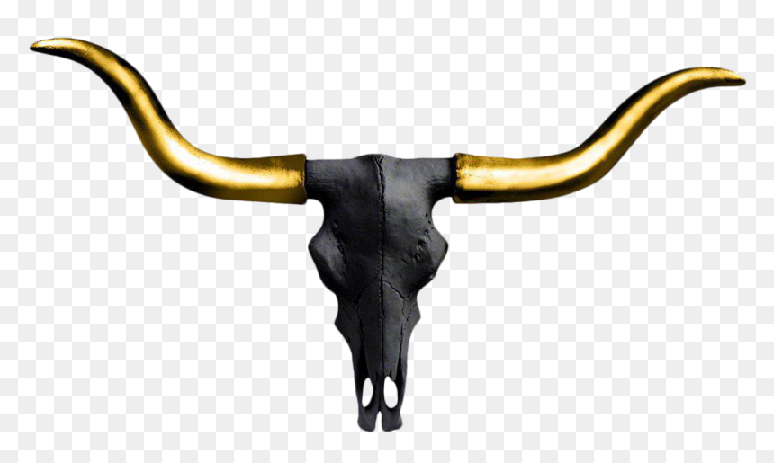 Texas Longhorn English Longhorn Wall Decal Color - Longhorn Bull Skull Black, HD Png Download - longhorn skull png