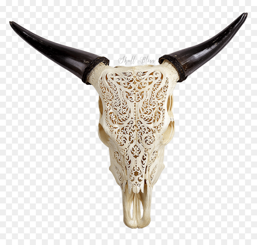 Animal Skulls With Designs, HD Png Download - longhorn skull png