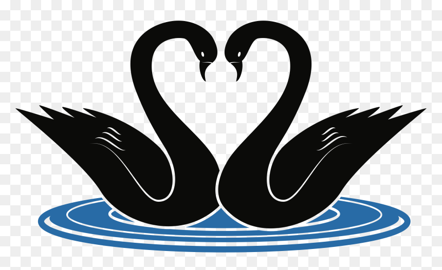 Clipart - Clip Art Swans, HD Png Download - public domain png