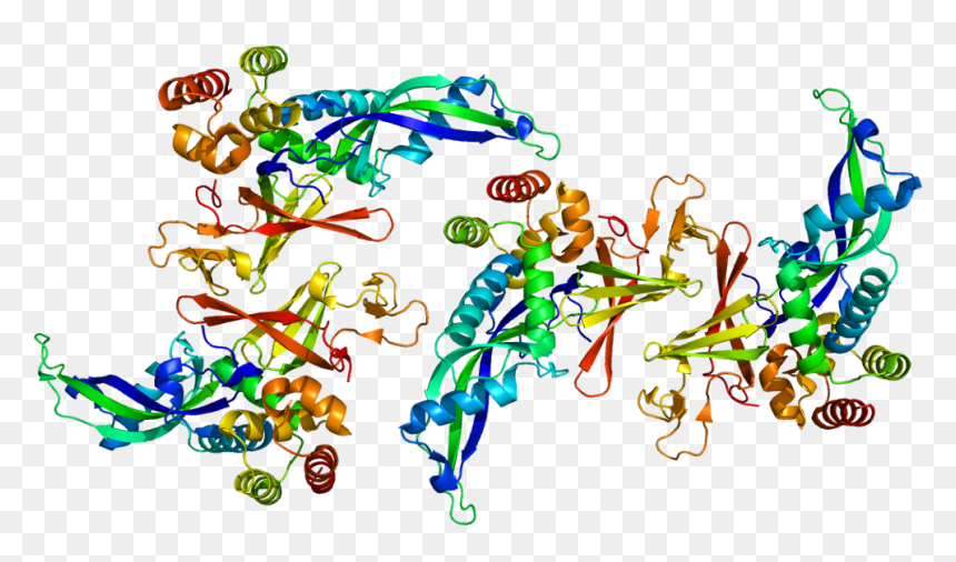 Protein Polr2d Pdb 2c35 - Pol I Subunit D, HD Png Download - rna png