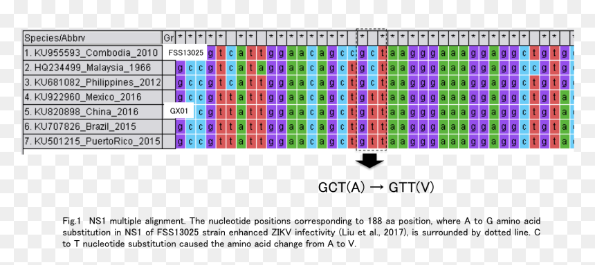 Screenshot, HD Png Download - rna png