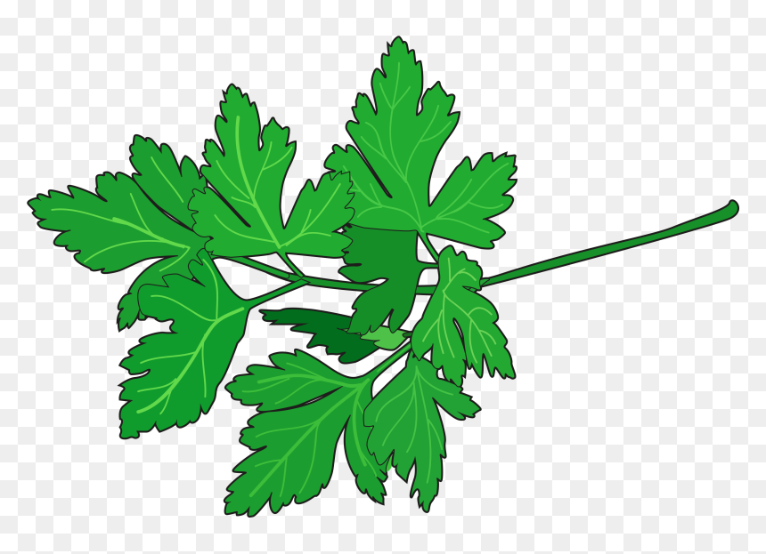 Transparent Perejil Png - Perejil Dibujo Png, Png Download - pizza dibujo png