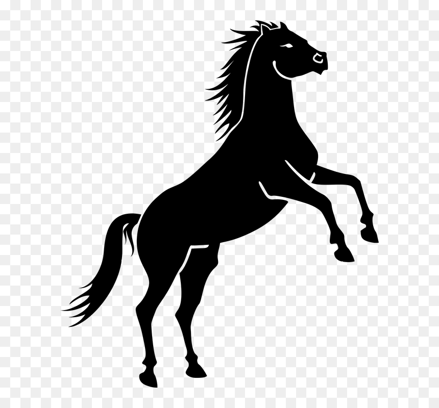 Thumb Image - Horse Vector, HD Png Download - caballos png