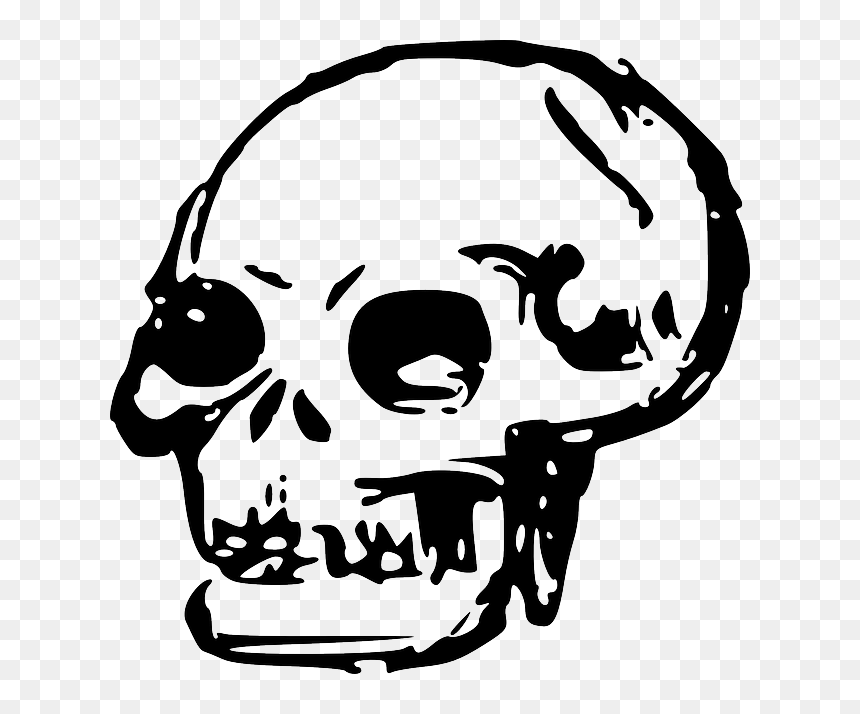 Head, Dead, Skull, Human, Bones, Skulls - Skull Clip Art Png, Transparent Png - human bones png