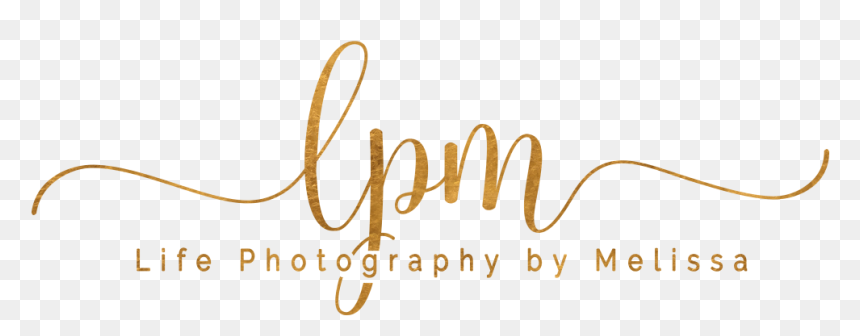 Calligraphy, HD Png Download - fotografo png
