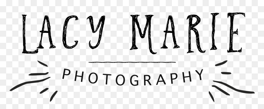 Calligraphy, HD Png Download - fotografo png