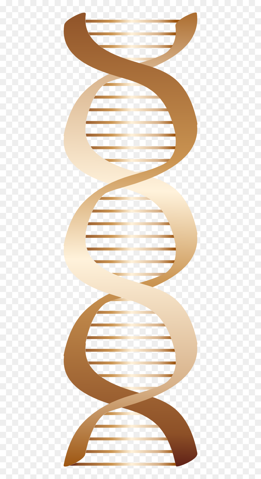 Icon, HD Png Download - dna.png
