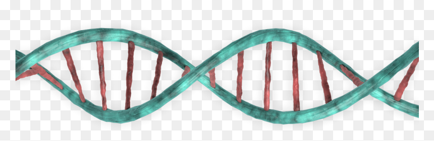 3d Dna Png , Png Download - 인간 과 침팬지 의 유전자 차이, Transparent Png - dna.png