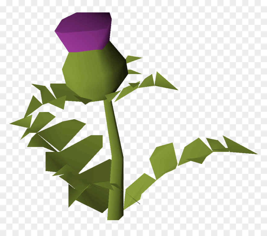 Clip Art, HD Png Download - plant .png