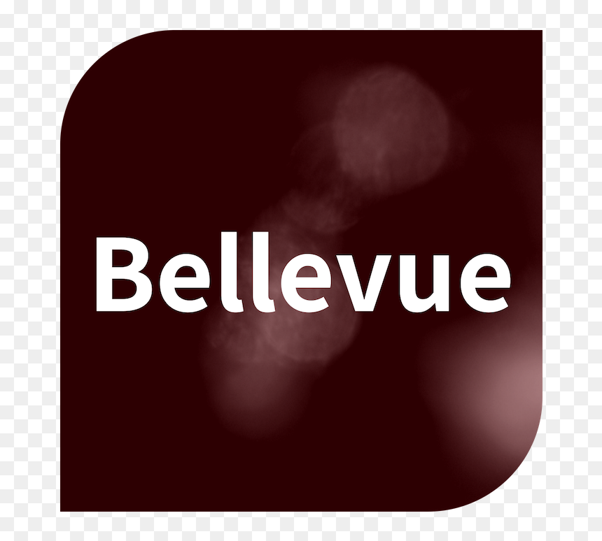 Bellevue - Graphic Design, HD Png Download - review us on google png