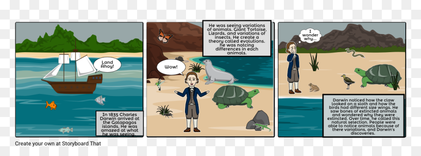 Cartoon, HD Png Download - darwin png