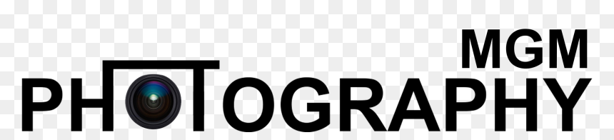 Gate 2011, HD Png Download - mgm png