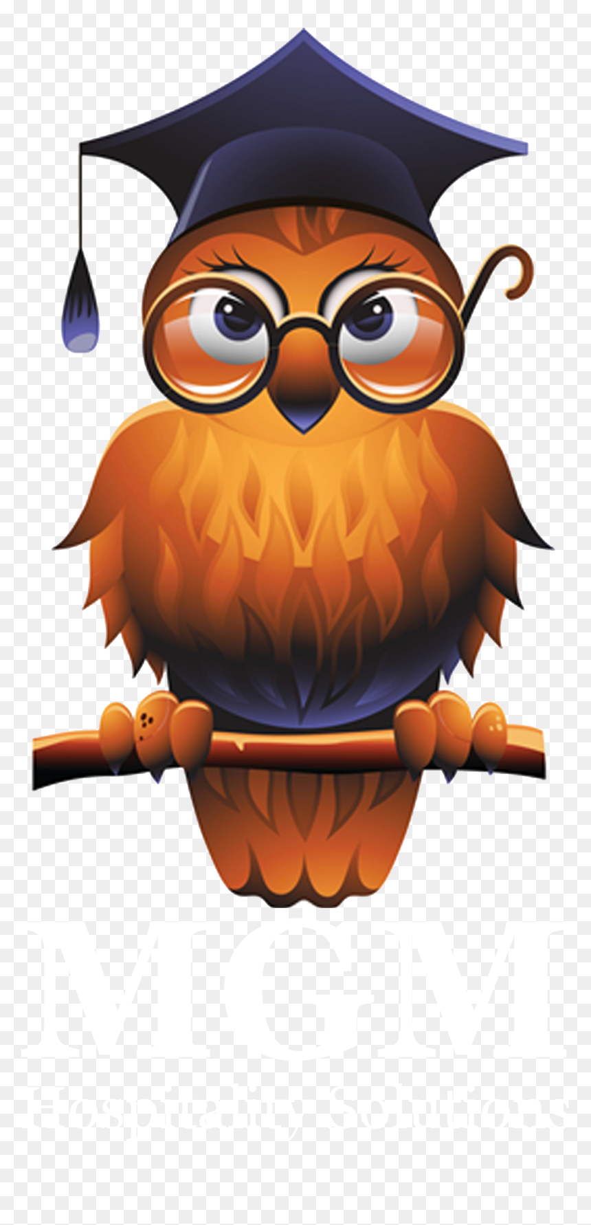 Owl Cartoon Professor, HD Png Download - mgm png