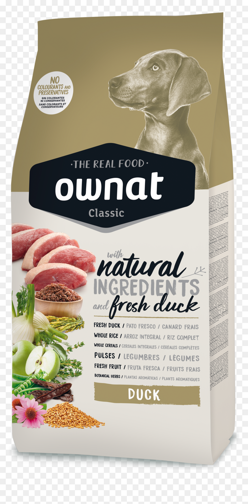 Ownat Light Gatos, HD Png Download - pato png