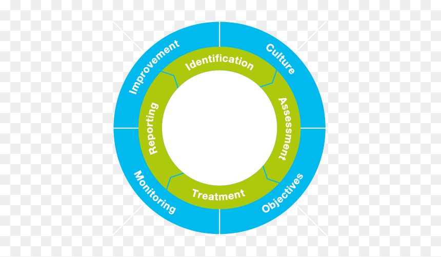 Circle, HD Png Download - bayer png