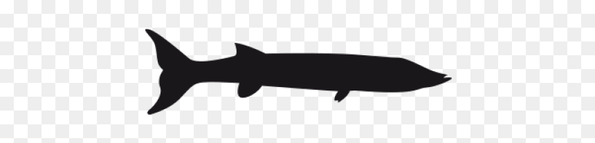 Barracuda Clipart Transparent - Silhouette, HD Png Download - barracuda png