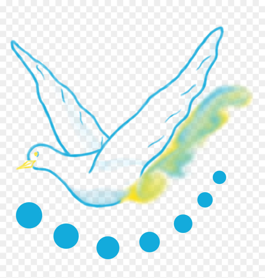 Seabird, HD Png Download - comparte png