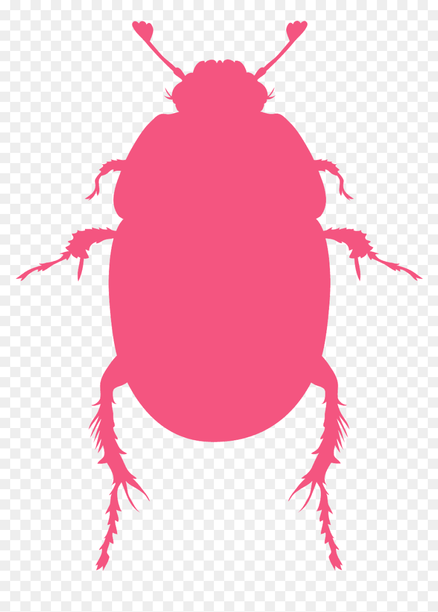Red Beetle Silhouette, HD Png Download - scarab png
