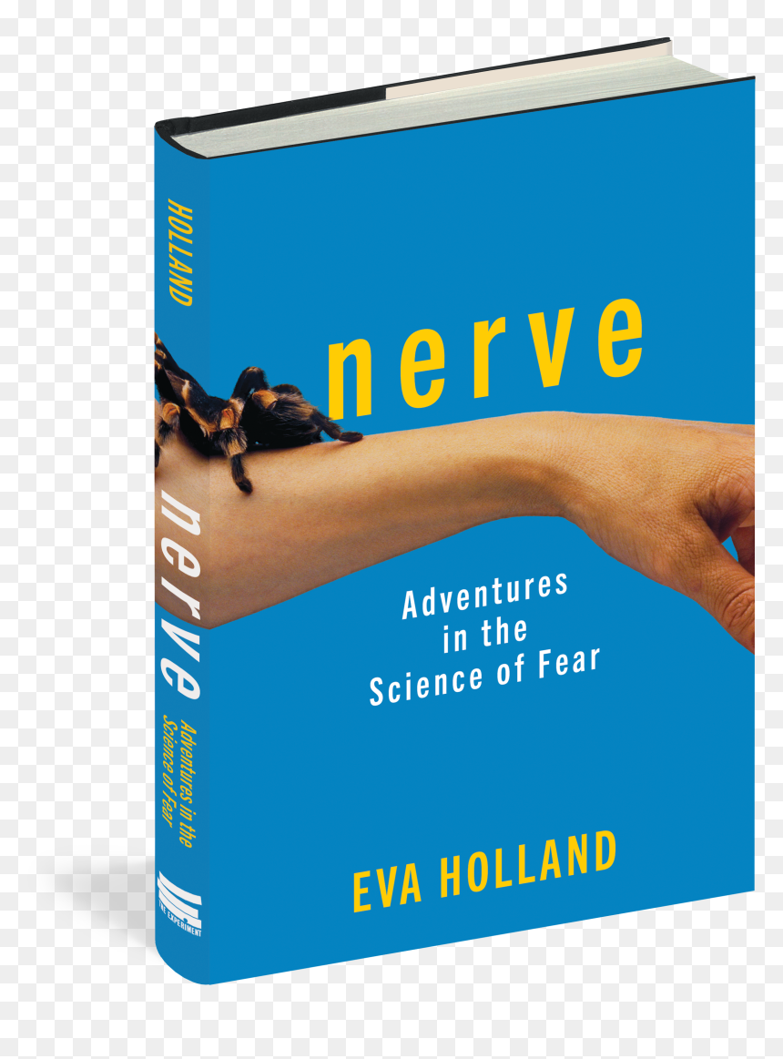 Cover - Flyer, HD Png Download - nerve png