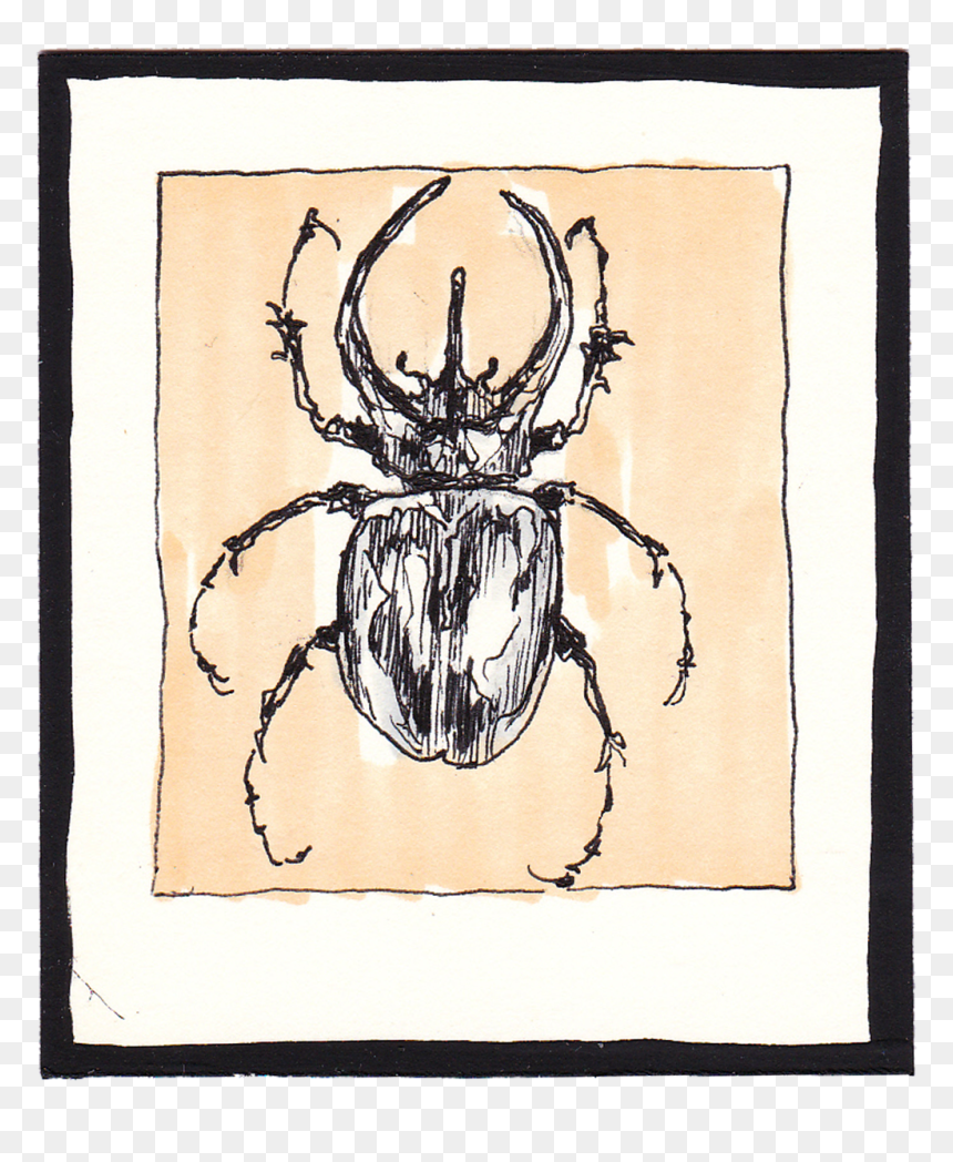 Kambing Art, HD Png Download - scarab png