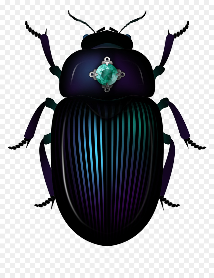 Dung Beetle, HD Png Download - scarab png