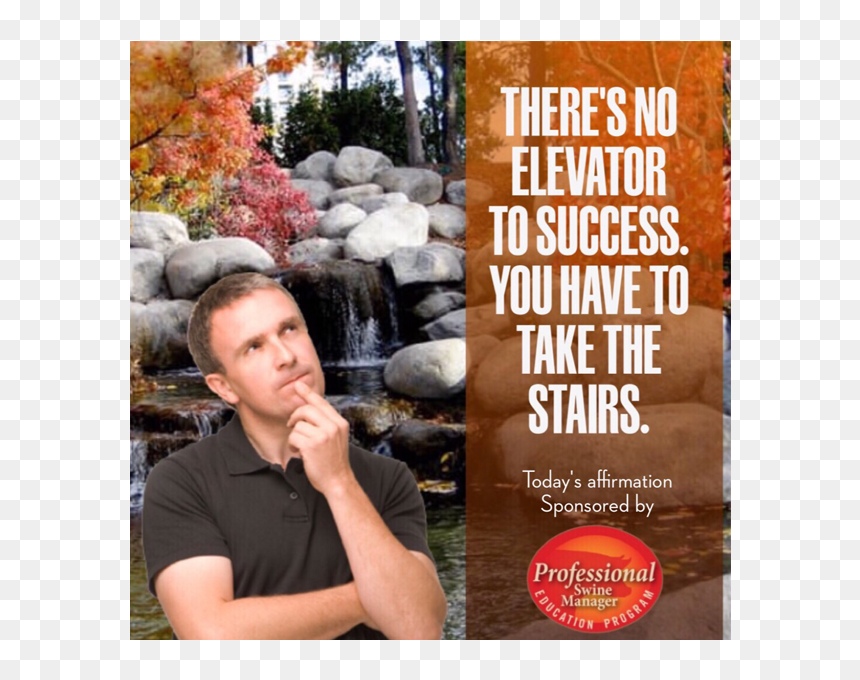 Shitty - Affirmations - Autumn Waterfall Live, HD Png Download - abe lincoln png