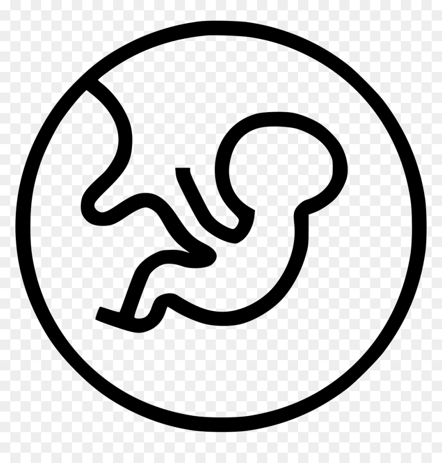 Embryo - Embryo Donation Icon Png, Transparent Png - embryo png