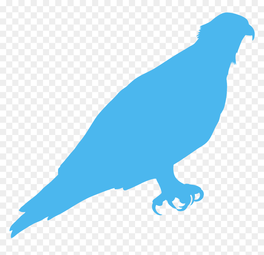 Creative Writing Writers Icon, HD Png Download - osprey png