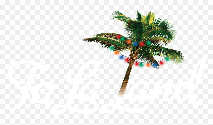 Fa La Land - Attalea Speciosa, HD Png Download - la la land png