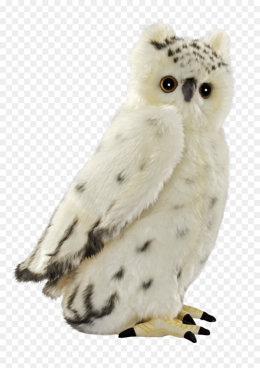 Snowy Owl Bird Stuffed Animals & Cuddly Toys - Owl, HD Png Download - snowy owl png
