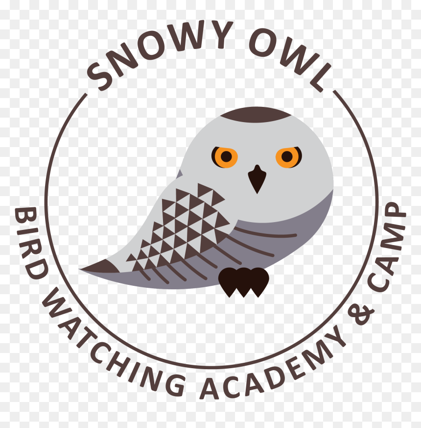 Owl, HD Png Download - snowy owl png
