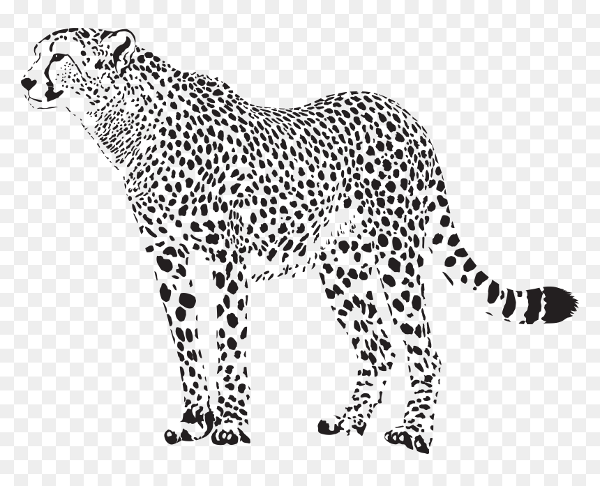 Leopard Clipart Cheetahclip, HD Png Download - cheetah running png