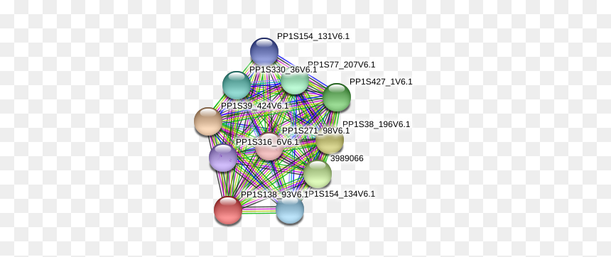 1 Protein - Circle, HD Png Download - wwe network png