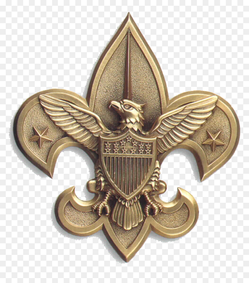 Central Florida Council Eagle Scout Scouting Boy Scouts - Boy Scouts Thank You, HD Png Download - eagle scout png
