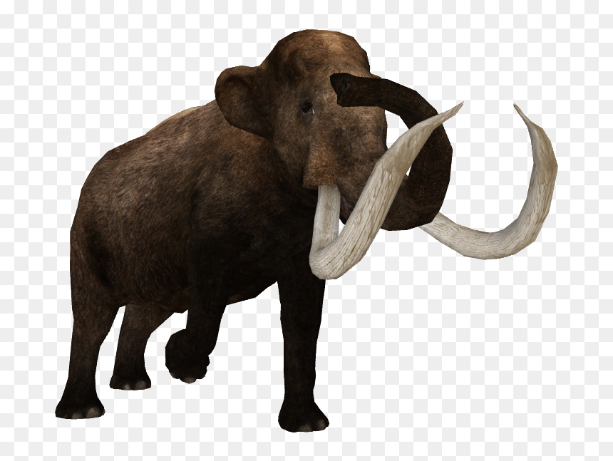 Indian Elephant, HD Png Download - christina aguilera png