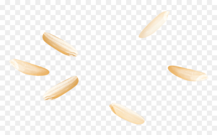 Almond, HD Png Download - rice png