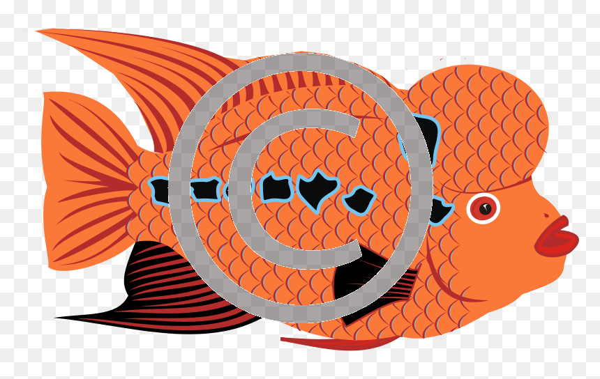 Fish, HD Png Download - goldfish png