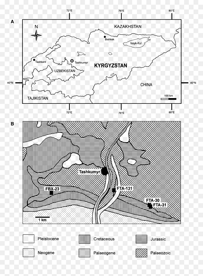 Diagram, HD Png Download - m png